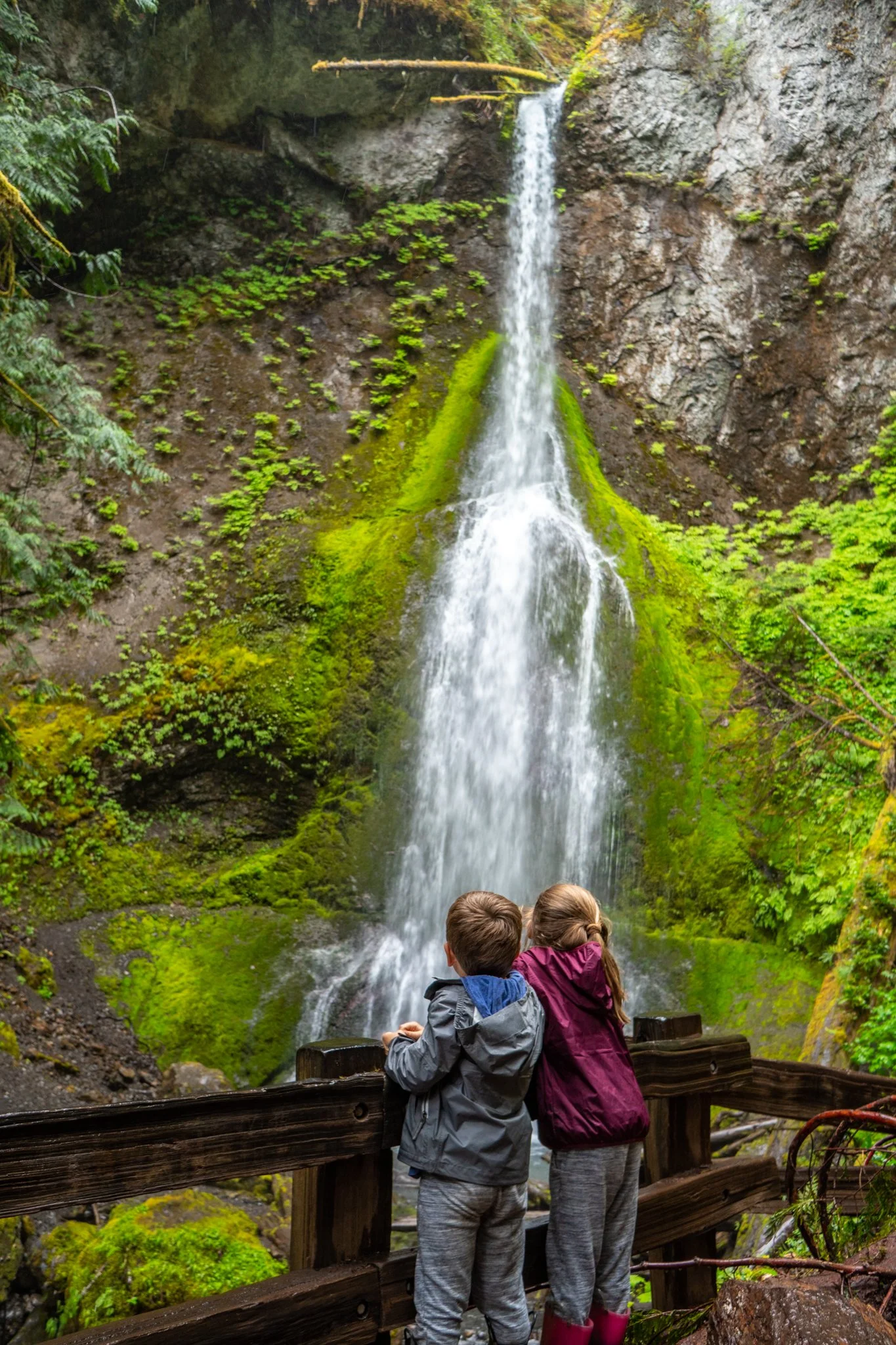 The Perfect 3 Day Itinerary for Olympic National Park Big Brave